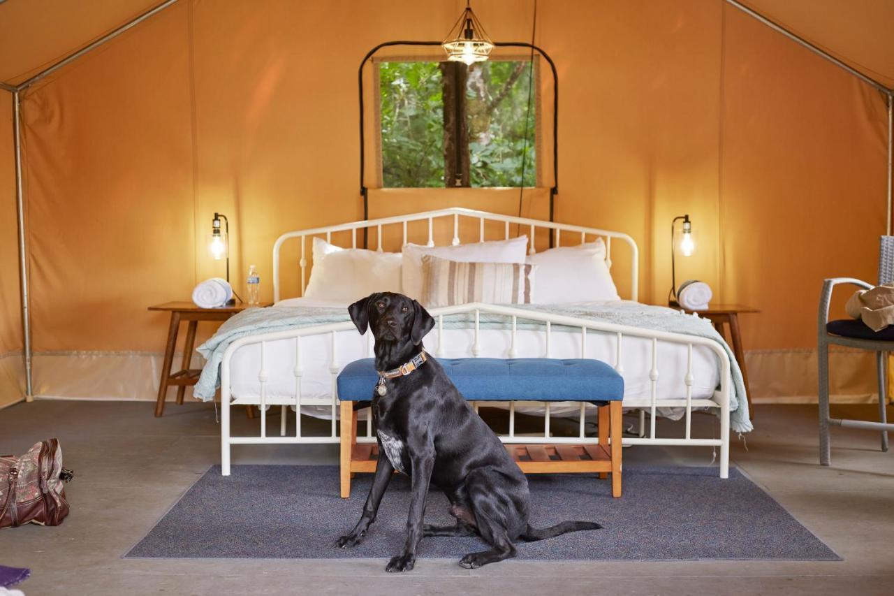 Pacific Dunes Resort Copalis Beach Εξωτερικό φωτογραφία